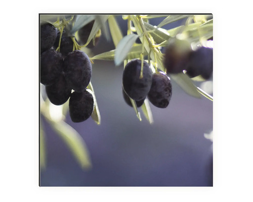 Detailný záber olív na strome