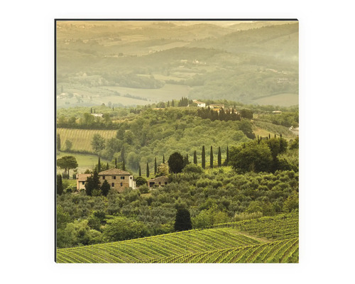 Maľba toskánskej krajiny s vinicami a domami