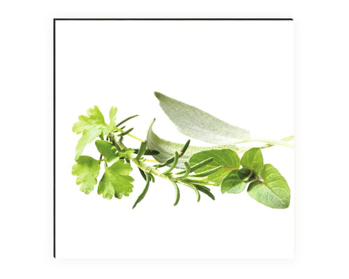 Rôzne čerstvé bylinky ako petržlen, rozmarín, šalvia a oregano