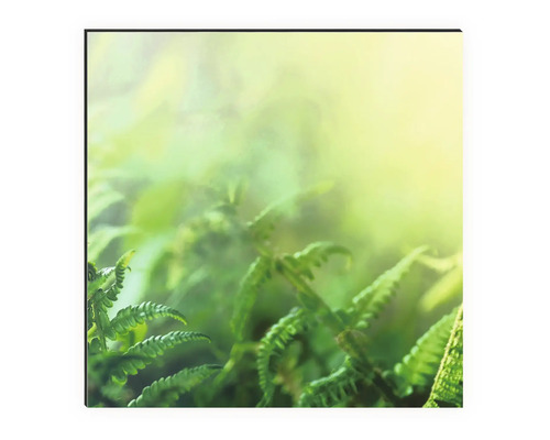 Detailný záber papradí na plátne