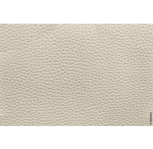 Detailný záber textúry kože