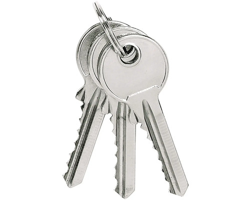 Zväzok kľúčov s tromi kľúčmi a krúžkom na kľúče