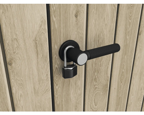 Drevené dvere s čiernou kľučkou a visiacim zámkom