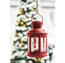 Dekoratívna lampa so vzorom hviezdy visí pred vianočným stromčekom