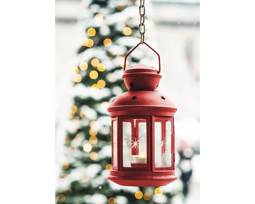 Dekoratívna lampa so vzorom hviezdy visí pred vianočným stromčekom