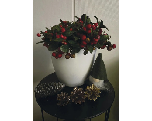 Dekoratívne aranžmán s červenými bobuľami, šiškami a figúrkou trpaslíka na stole.