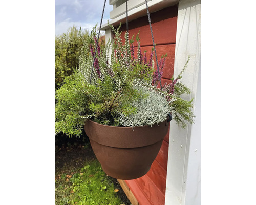 Závesný kvetináč s vresom a zelenými rastlinami