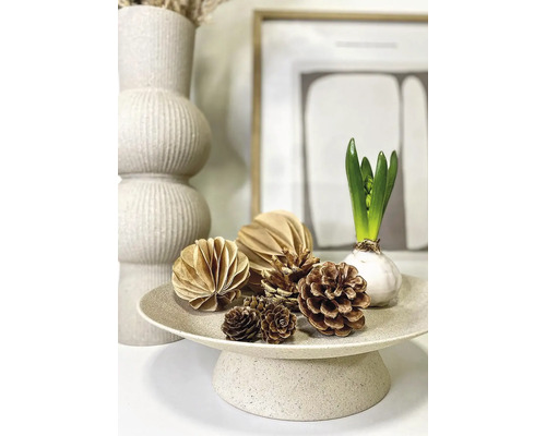 Dekoračný podnos so šiškami, papierovými ozdobami a hyacintom.