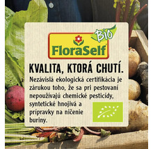 Jabloň stĺpovitá zelená FloraSelf Bio Malus domestica Aromaspur® 130-150 cm kvetináč 7,5 l-thumb-1