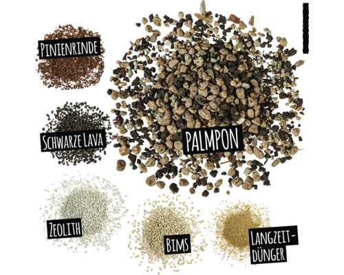 Obrázok rôznych rastlinných substrátov: borovicová kôra, čierna láva, zeolit, pemza, dlhodobé hnojivo a Palmpon