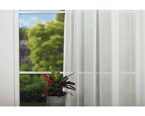 Scéna s oknom, záclonou a izbovou rastlinou v kvetináči