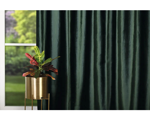 Okrasná rastlina v zlatom kvetináči pred oknom a závesom