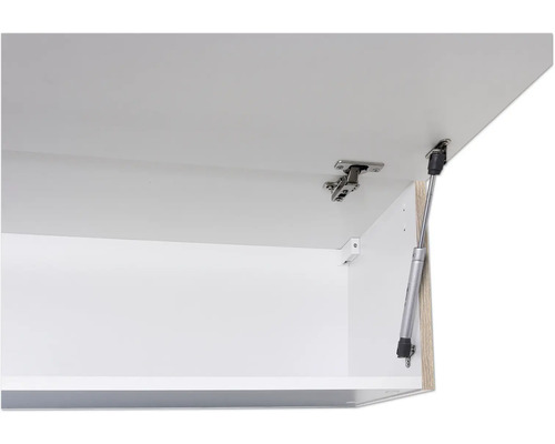 Dvierka skrinky s pántom a plynovou vzperou