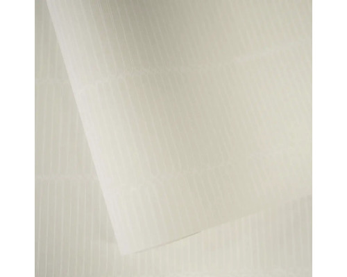 Priesvitná komôrková doska