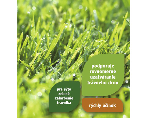 Detailný pohľad na svieži, zelený trávnik so zvýraznenými výhodami produktu.