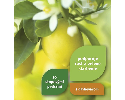 Obrázok citrusových plodov s informáciami o raste a živinách