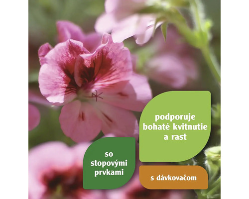 Kvitnúci muškát s informáciou o zložkách a dávkovaní