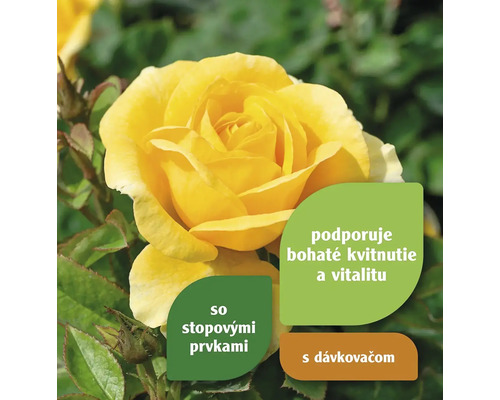 Žltá ruža s informáciami o stopových prvkoch, bohatom kvete a vitalite a dávkovači