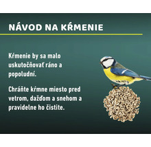 Návod na kŕmenie vtákov s sýkorkou belasou na kŕmnej guli