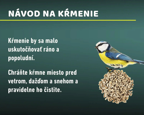 Návod na kŕmenie vtákov s sýkorkou belasou na kŕmnej guli