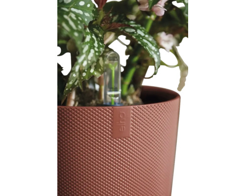 Kvetináč Elho s rastlinou a ukazovateľom hladiny vody