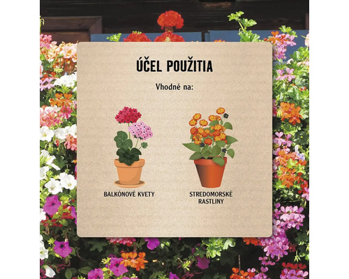 Príklady použitia balkónových kvetov a stredomorských rastlín na tabuli