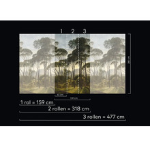 Rozmery fototapety lesa so stromami