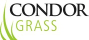Condor Grass Condor Grass