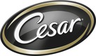 Cesar Cesar