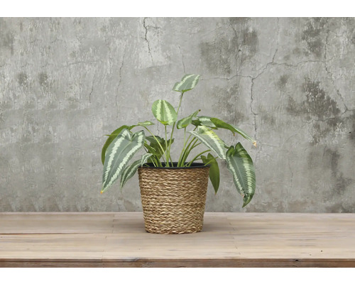 Umelá rastlina v pletenom kvetináči na dekoráciu