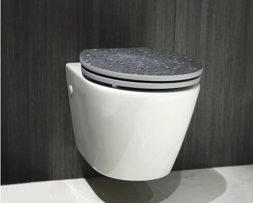 Závesné WC s WC sedadlom