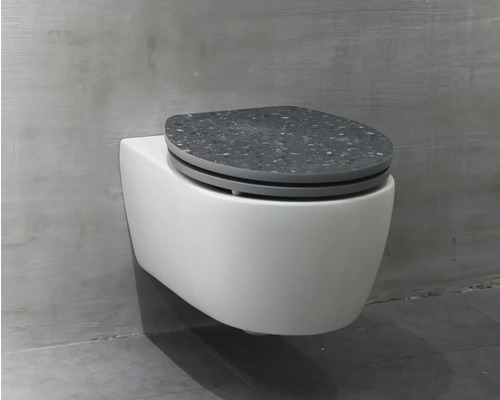 Závesné WC s WC sedadlom