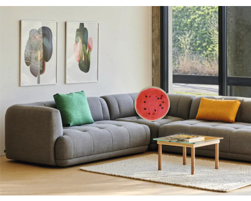 Obývacia izba so sivou rohovou sedačkou, vankúšmi, konferenčným stolíkom a nástennými maľbami