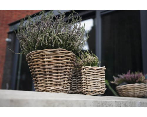 Dva prútené kvetináče s vresom na okennom parapete.