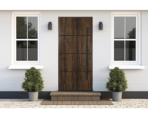 Fasáda domu s vchodovými dverami, oknami a hrnkovými rastlinami