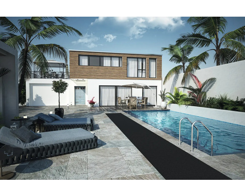 Vonkajší pohľad na dom s bazénom, ležadlami a palmami