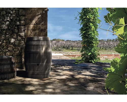 Dekoratívny sud na dažďovú vodu vo vidieckej záhrade