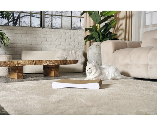 Obývacia izba so škrabadlom a bielou mačkou na koberci pred pohovkou