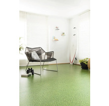 Obývacia izba so zelenou podlahovou krytinou, stoličkou a surfovacou doskou