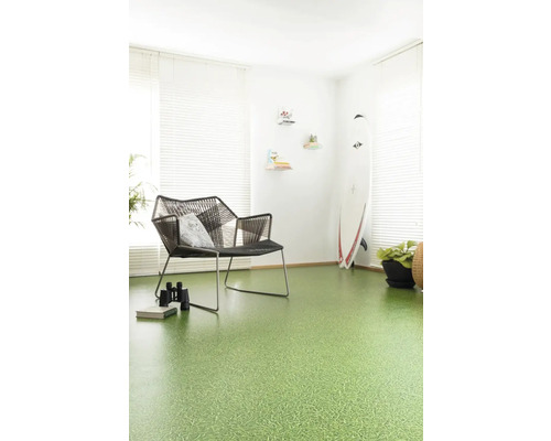 Obývacia izba so zelenou podlahovou krytinou, stoličkou a surfovacou doskou