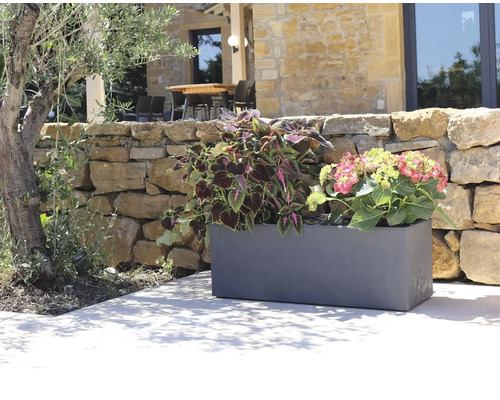 Plastový kvetináč s rastlinami pred kamennou stenou