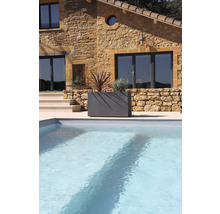 Kamenný dom s bazénom a osadeným kvetináčom v záhrade.