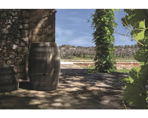 Scéna s dvoma sudmi a rastlinnou stenou