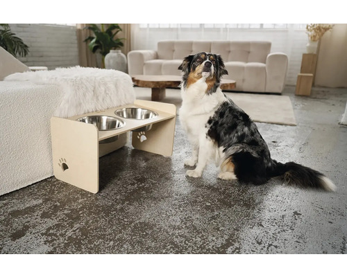 Pes sedí vedľa zvýšeného stojana na krmivo s dvoma nerezovými miskami v obývacej izbe.