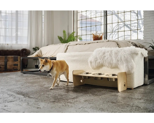 Pes v izbe s psím barom, psou posteľou a posteľou