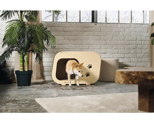 Svetlá obývacia izba s drevenou búdou pre psa a psom