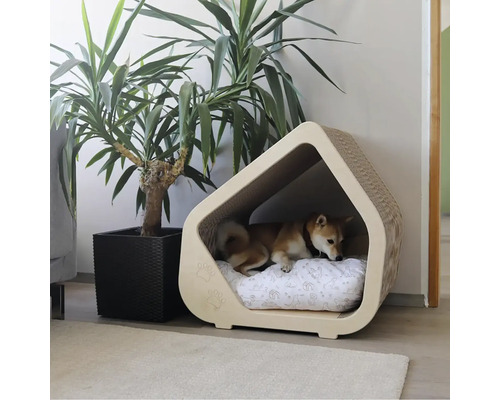 Pes leží v kartónovom psom domčeku vedľa izbovej rastliny.