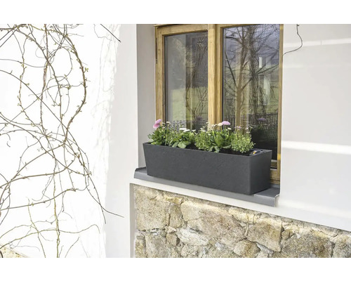 Okno s kvetináčom a kvitnúcimi rastlinami