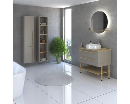 Moderná kúpeľňa s umývadlom, zrkadlom, skrinkami a rastlinou