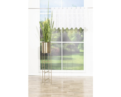 Izba s oknom, záclonou, tenurou a stojanom na rastliny